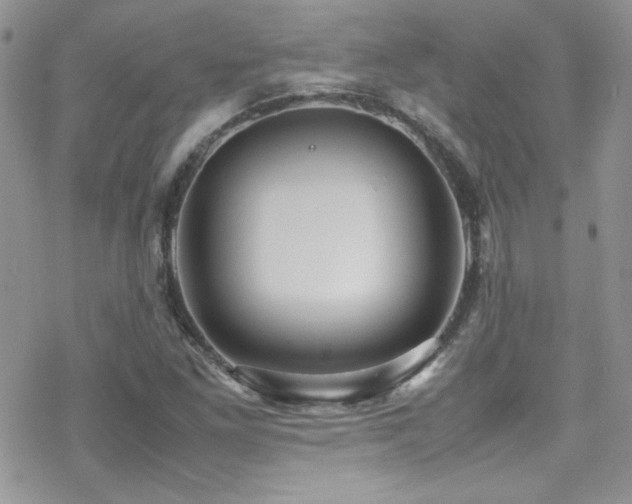 X0000070411261200606091142