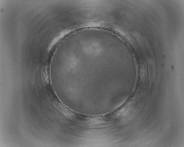 X0000070411262200606091142