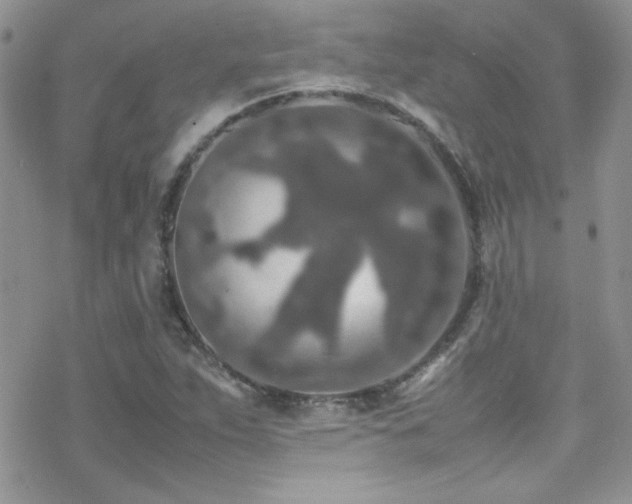 X0000070411263200606091142