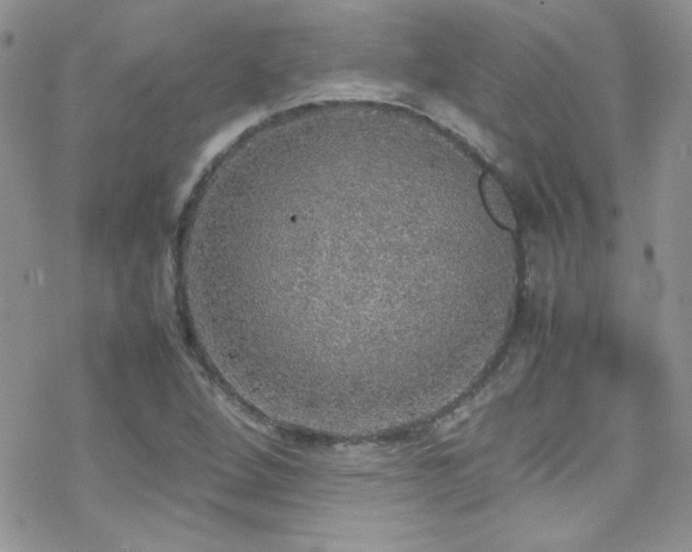 X0000070411264200606091142