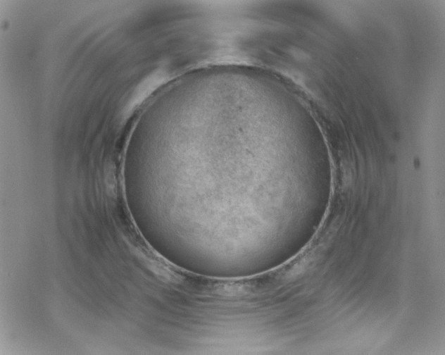 X0000070411266200606091142