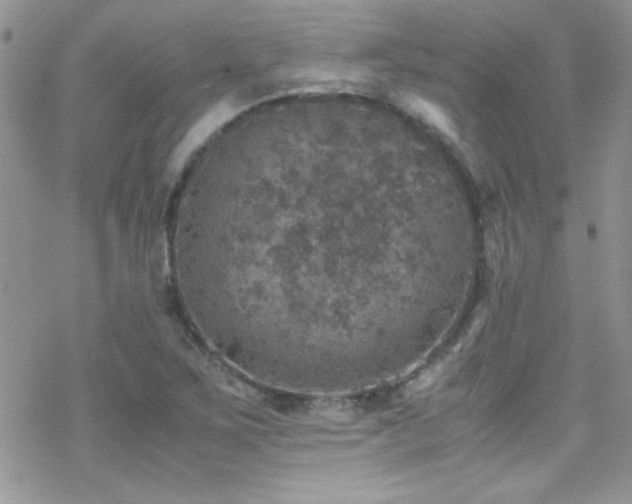 X0000070411267200606091142