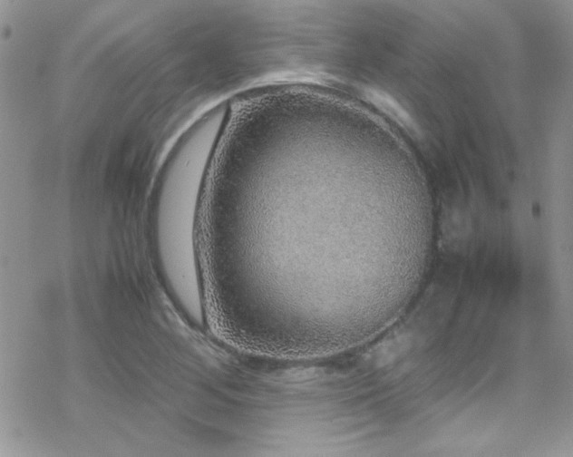 X0000070411268200606091142