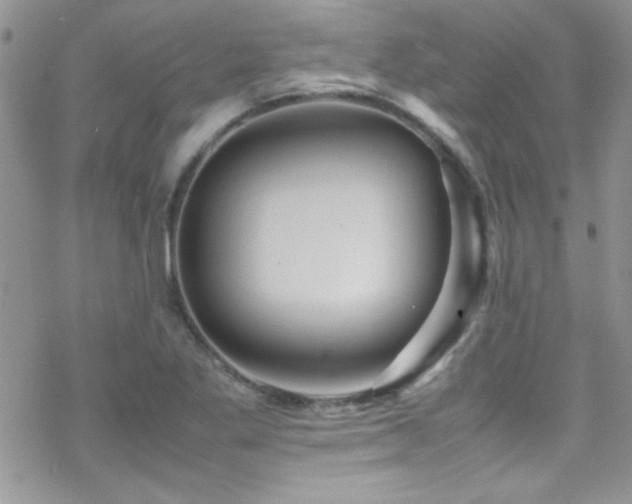 X0000070411269200606091142