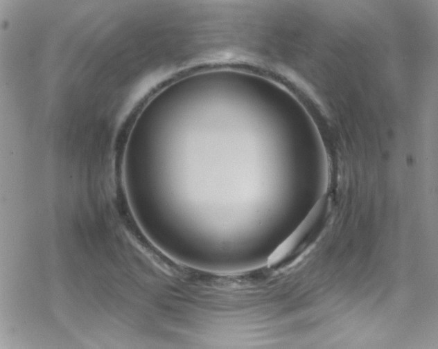 X0000070411270200606091142