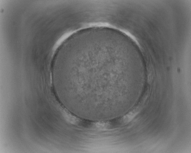 X0000070411271200606091142