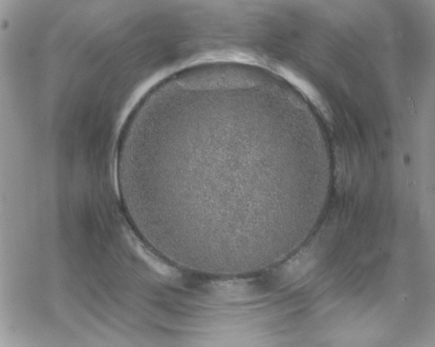 X0000070411272200606091142