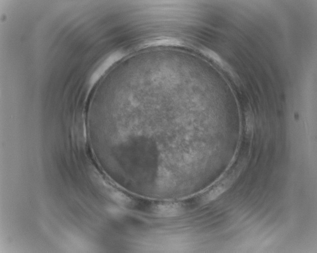 X0000070411274200606091142