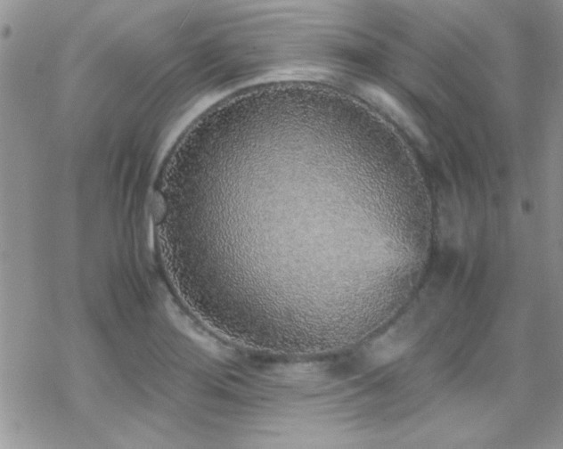 X0000070411276200606091142