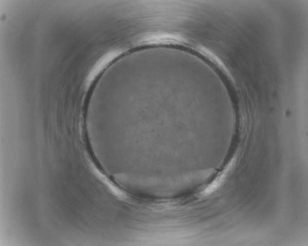 X0000070411277200606091142