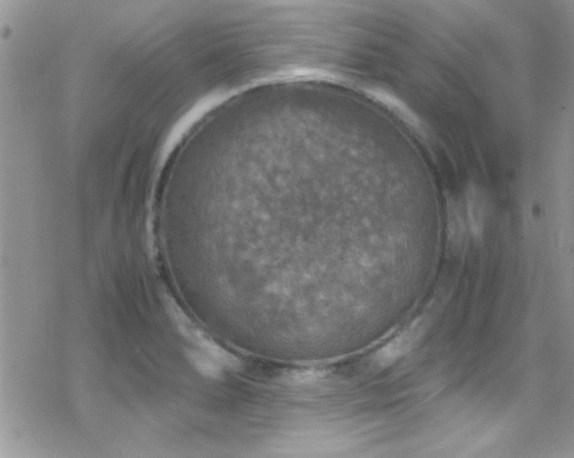 X0000070411278200606091142