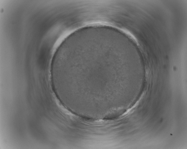 X0000070411279200606091142