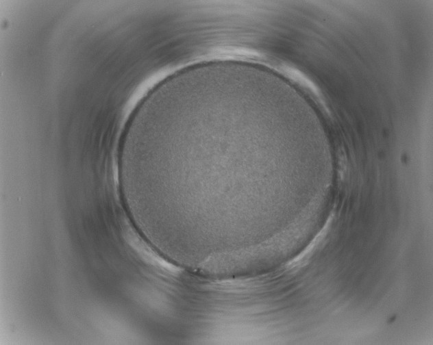 X0000070411280200606091142