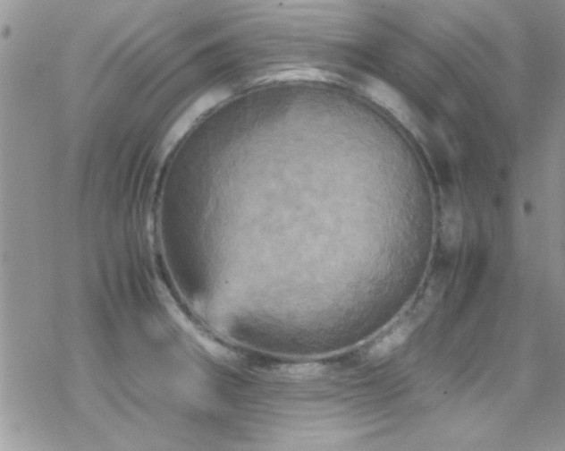 X0000070411282200606091142