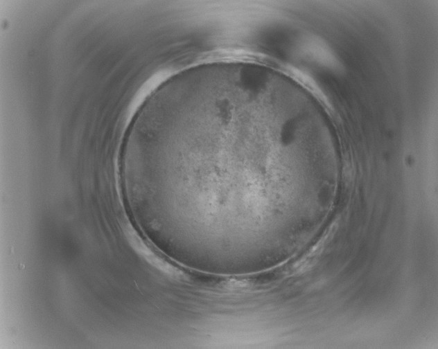 X0000070411283200606091142