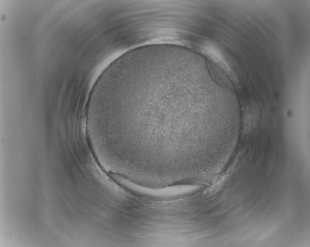 X0000070411284200606091142