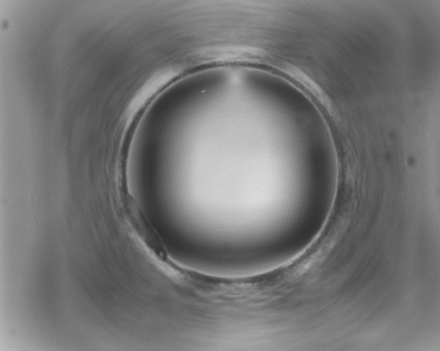 X0000070411285200606091142