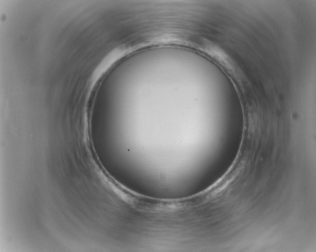 X0000070411286200606091142