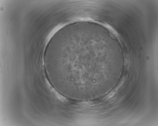 X0000070411287200606091142