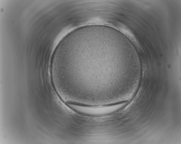 X0000070411288200606091142