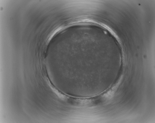 X0000070411289200606091142