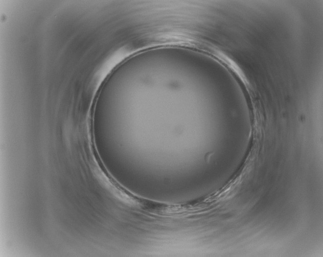 X0000070411291200606091142