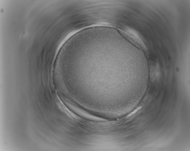 X0000070411292200606091142