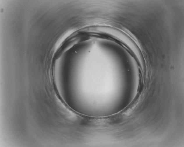 X0000070411293200606091142