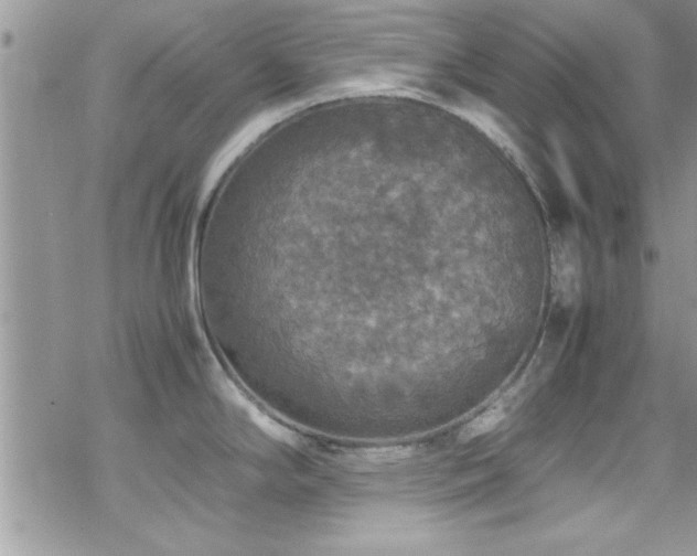 X0000070411294200606091142