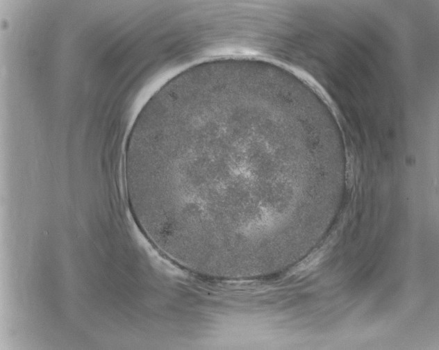 X0000070411295200606091142