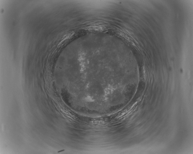 X0000070411297200606091141