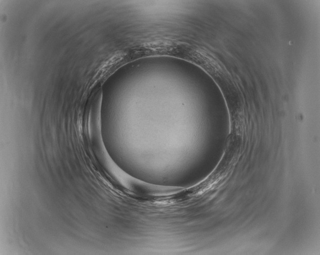 X0000070411298200606091141