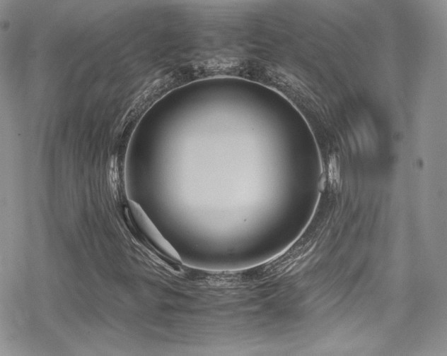 X0000070411299200606091141