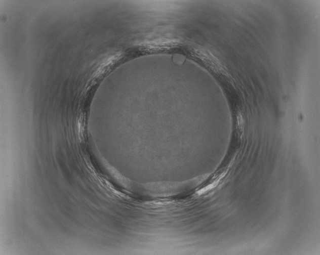 X0000070411300200606091141