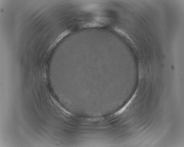 X0000070411305200606091141