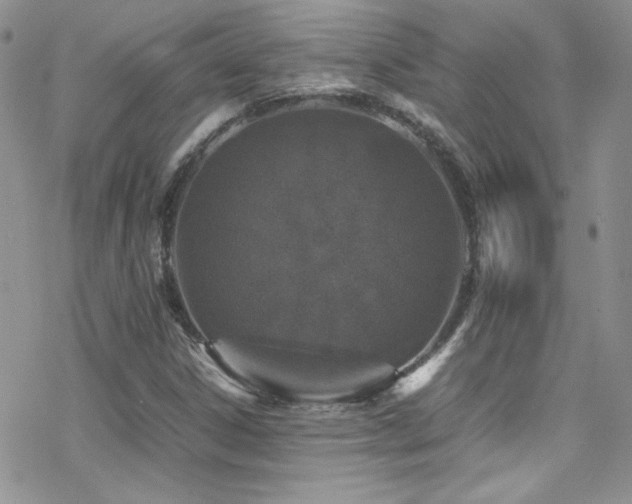 X0000070411306200606091141