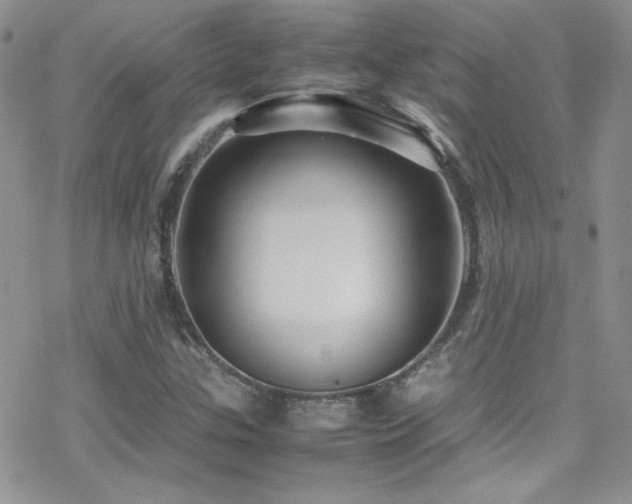 X0000070411307200606091141