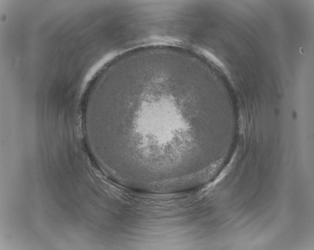 X0000070411310200606091141