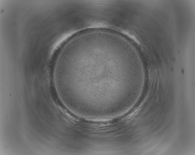 X0000070411311200606091141