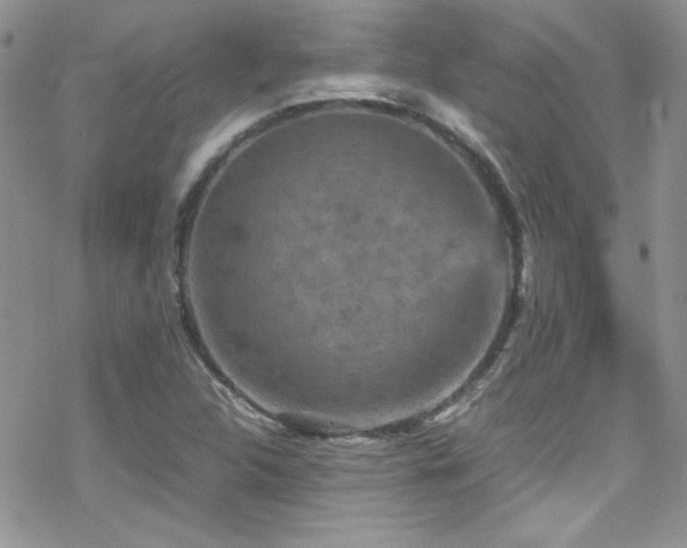 X0000070411312200606091141