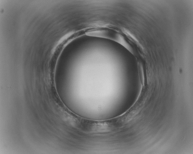 X0000070411315200606091141