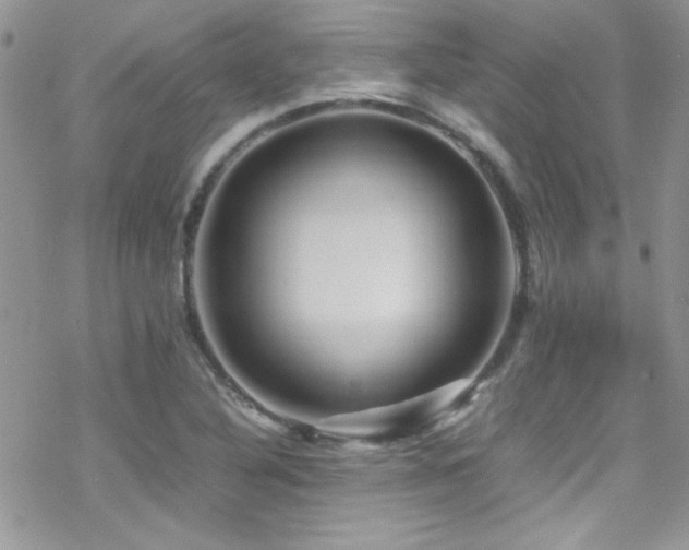 X0000070411316200606091141