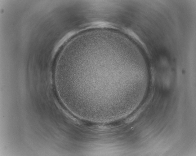 X0000070411318200606091141