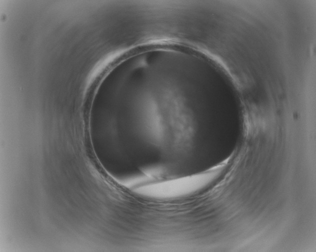 X0000070411319200606091141