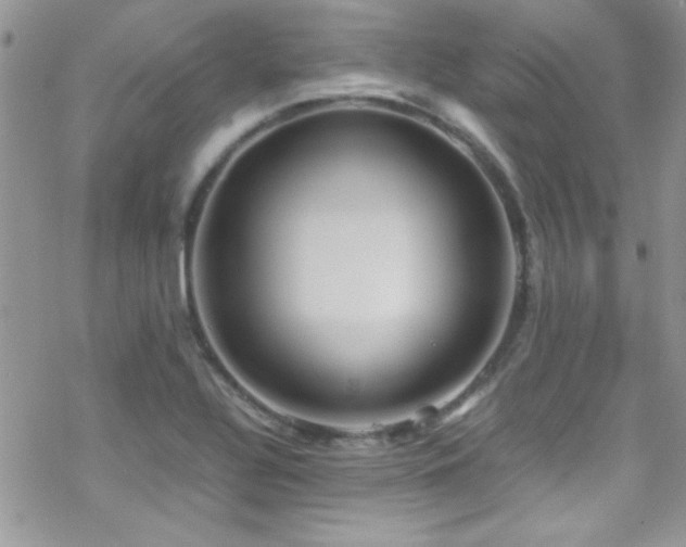 X0000070411320200606091141