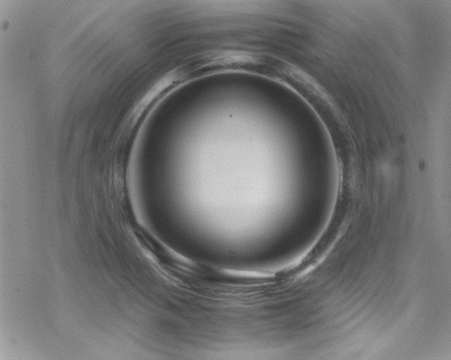 X0000070411321200606091141