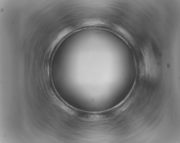 X0000070411322200606091141