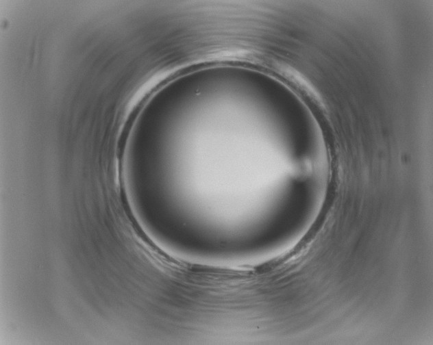 X0000070411324200606091141