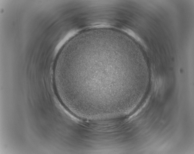 X0000070411325200606091141