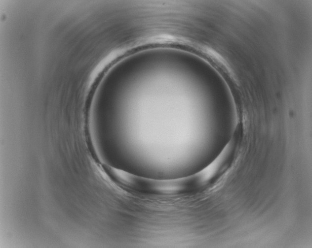 X0000070411326200606091141